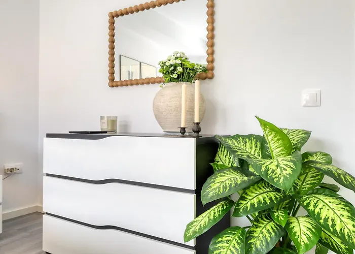 公寓 Ribas Machico, A In Madeira *