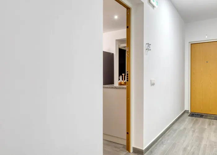 Ribas Machico, A In Madeira 马希库